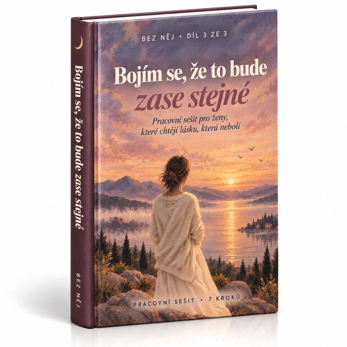 E-kniha Bojím se, že to bude zase stejné, díl 3 ze 3 série Cesta bez něj