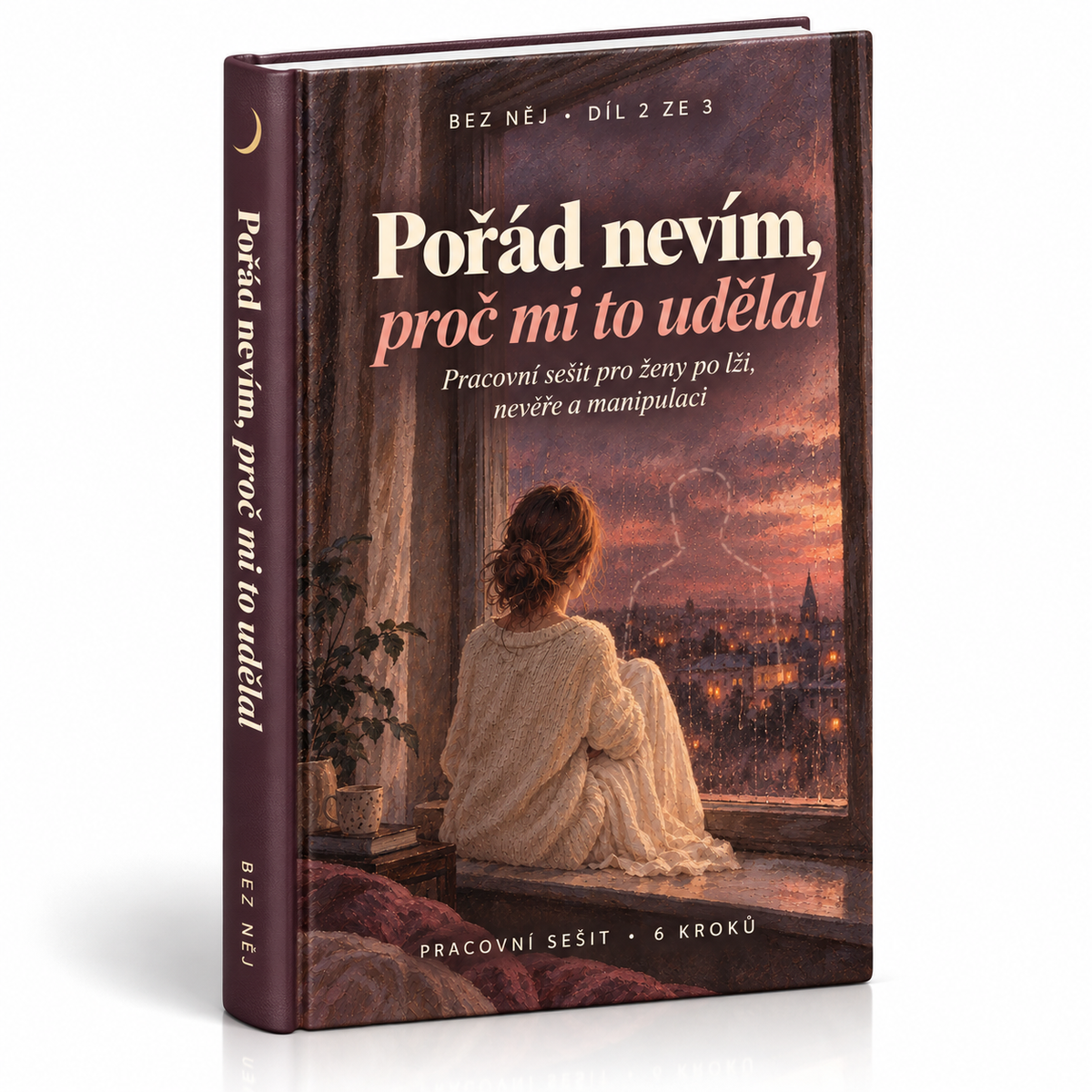 E-kniha Pořád nevím, proč mi to udělal, díl 2 ze 3 série Cesta bez něj
